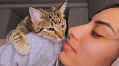 Cute Cat And Their Human BFF Do What??? - Cats and Humans Are Best Friends