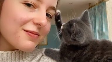 “Oh my heart! Cat and Owner are inseparable best friends”   😸 Cute Cat and Human are best friend
