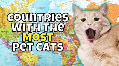 Top 10 Countries With the Most Pet Cats