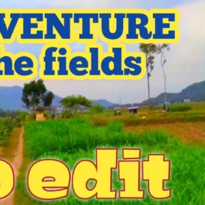 my adventure afternoon walk in the rice fields