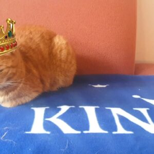 His Royal Highness King Cody Cat... and a blanket