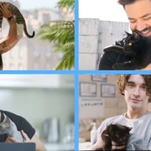 Ultimate compilation of cats with handsome dads